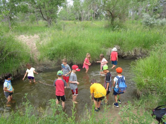 Survival Skills Camp 