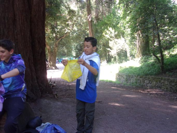 08/05/2019 - 08/09/2019