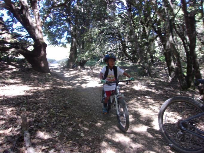 Mountain Biking Skills Camp 