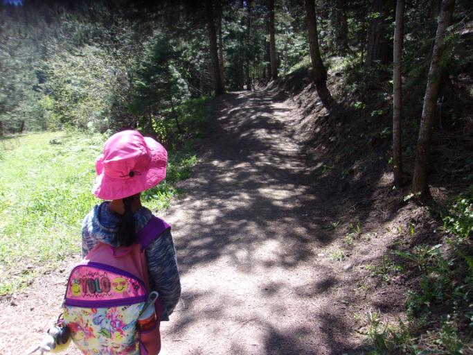 Survival Skills Camp 