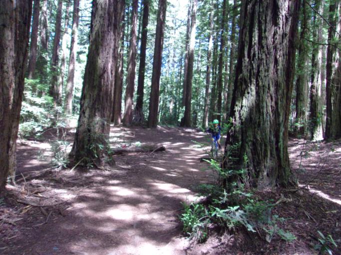 Mountain Biking Adventure Team 