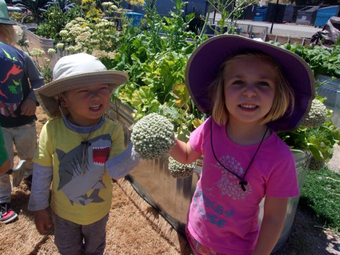 07/15/2019 - 07/19/2019