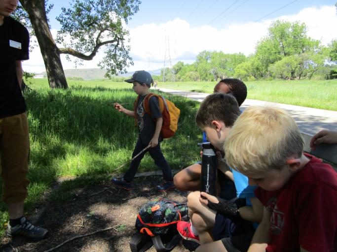 Survival Skills Camp 