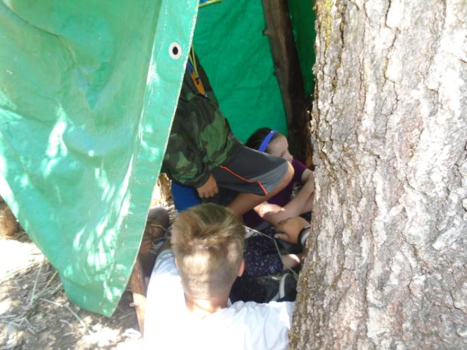 07/15/2019 - 07/19/2019