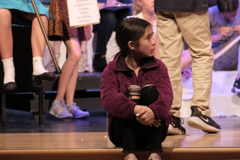 MS Fall Play :: Questionable