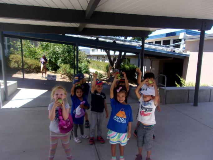 08/12/2019 - 08/16/2019