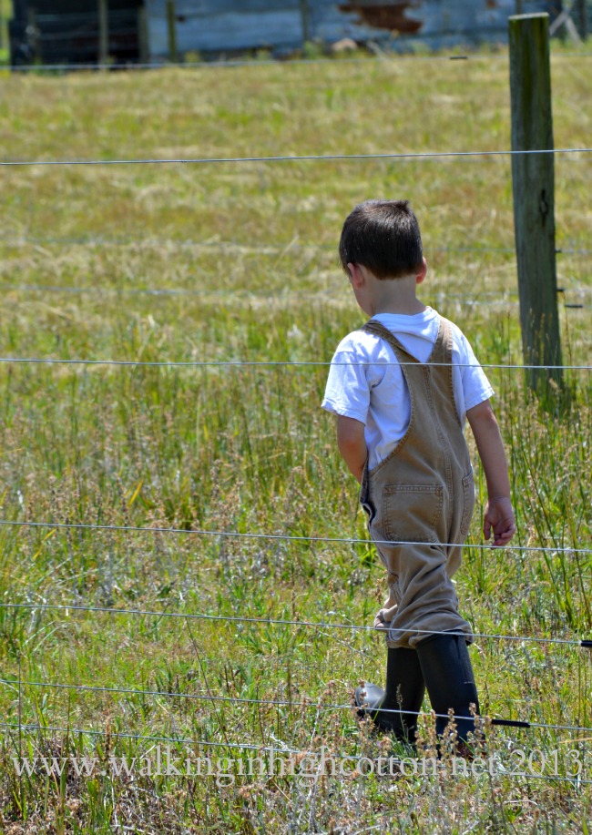 My Speedracer was a big helper this time--especially the part about how he didn't complain, whine, or get distracted chasing grasshoppers.