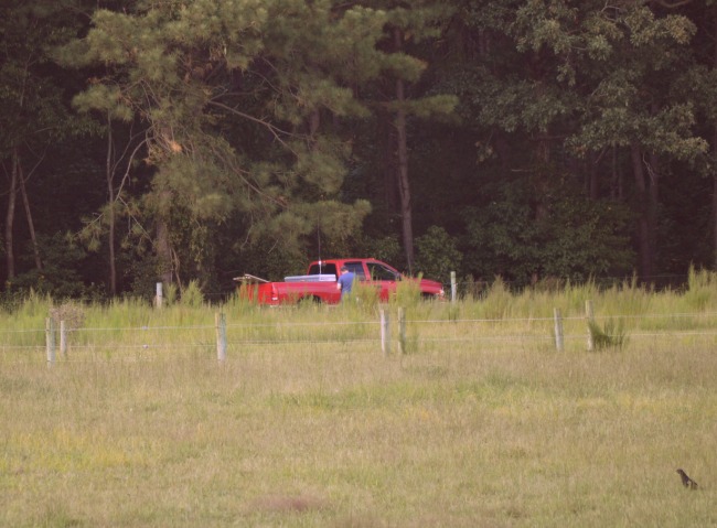Mr. Fix-It and the Cowboy were out checking and tightening fence this weekend.