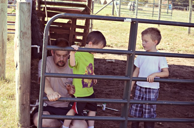 The boys were helping Mr. Fix-It hang and straighten up some gates on Saturday after soccer.