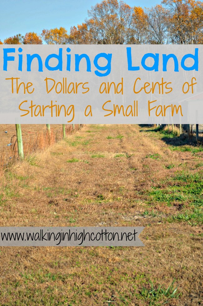 10 Thoughts on Finding Land...The Dollars and Cents of Starting a Small