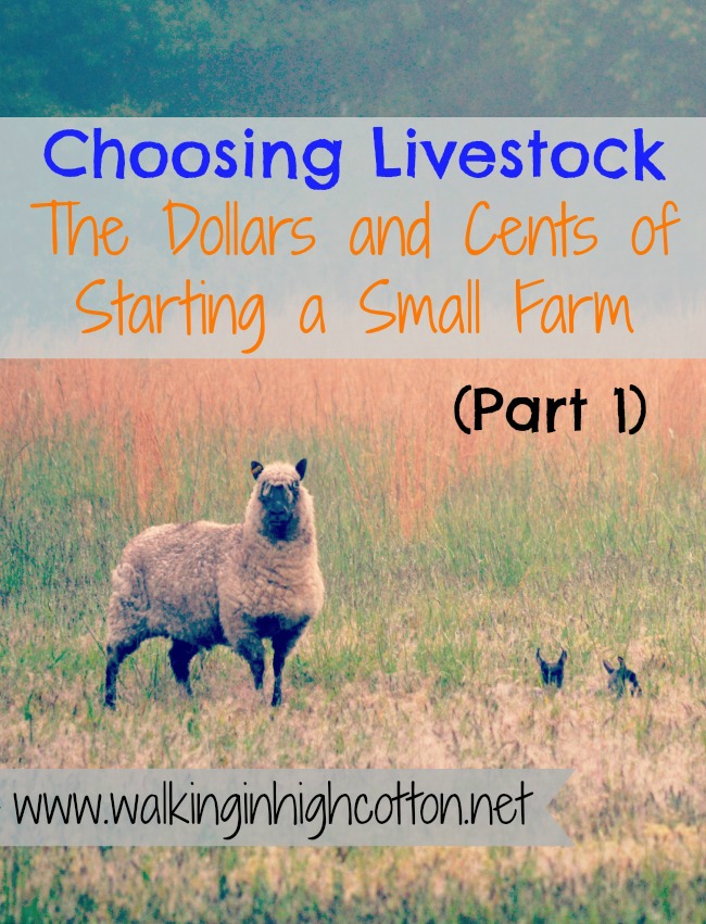 Choosing Livestock (Part 1)...the Dollars and Cents of Starting a Small