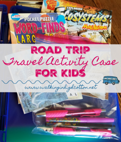 Road Trips to Nowhere Just for Family Fun 5 Road Trip Travel Activity Case for Kids via Walking in High Cotton. Simple, thrifty, fun for family road trips