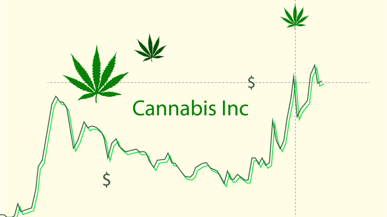 4 Key Tips for Choosing the Best Pot Stocks