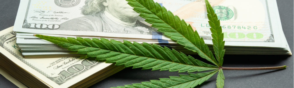 5 Things to Look for When Choosing a Pot Stock