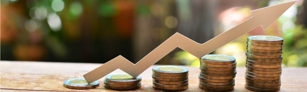 The Best Way to Get from Penny to Profits…