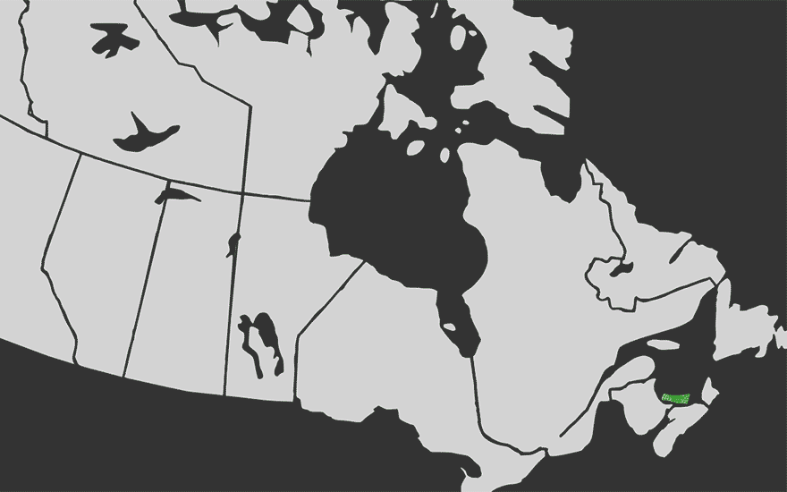 An animated map of Canada is filled in with Green Party logo graphics as a simulated green wave moves west from PEI.