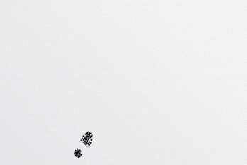 Animation of Black Footsteps Walking Across a White Background