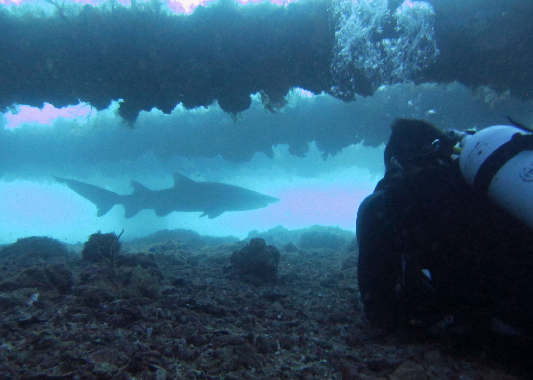 The 10 best places to scuba dive in the world