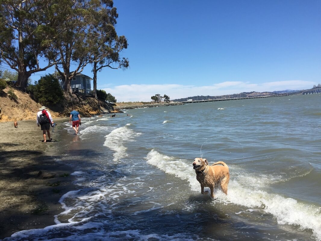 The Top 14 Best Beaches in California