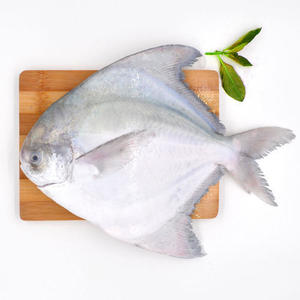 Pomfret (Paplet) - Large