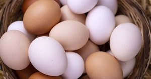 COUNTRY EGG
