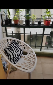 Outdoor modern chair