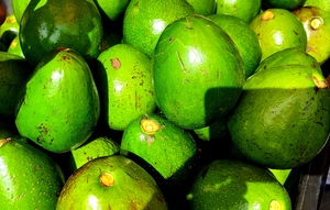 Avacado 1 Kg