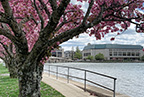 Example content image