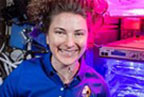 Example content image