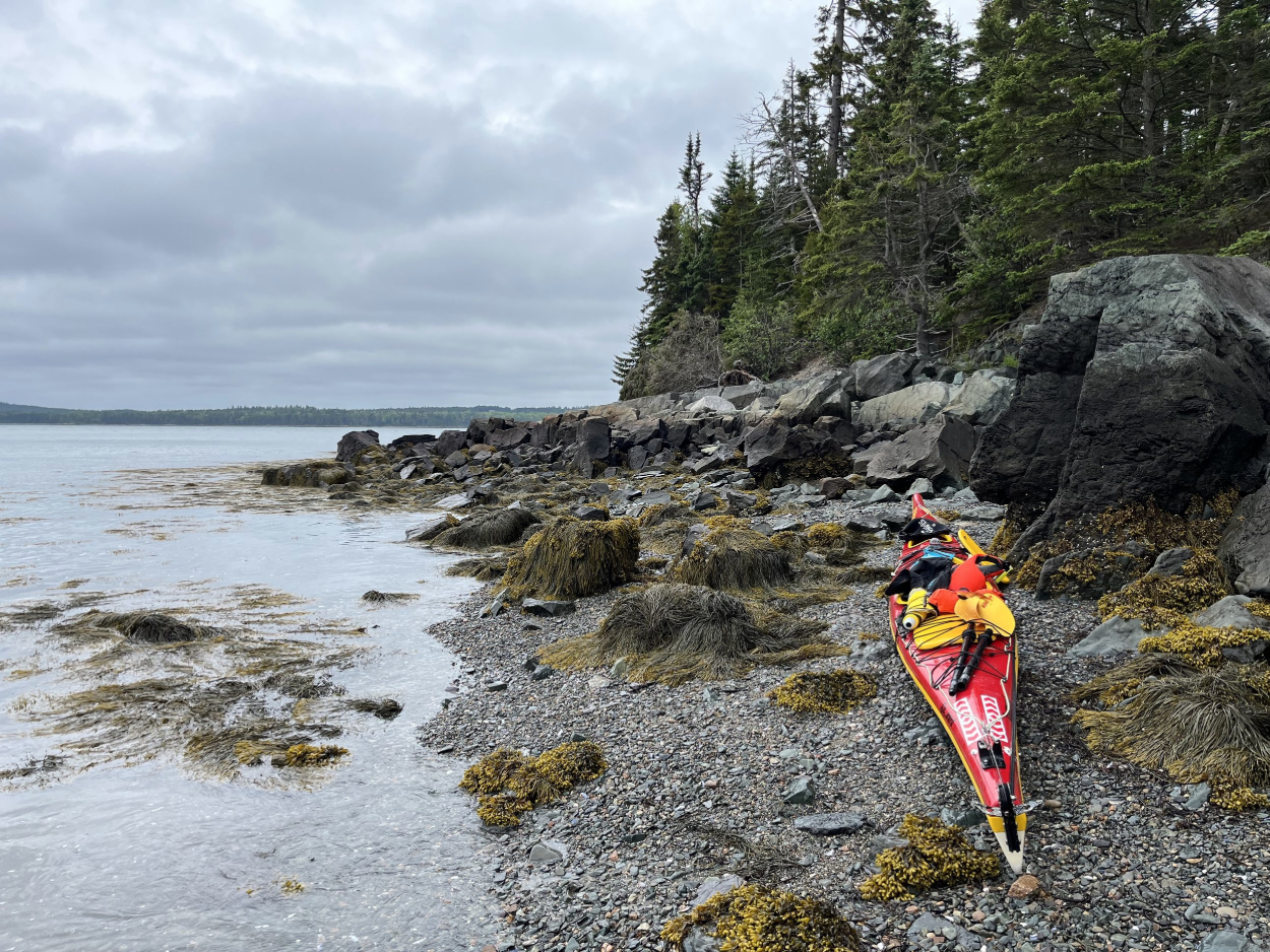 Summer Paddling Adventure in Machias, ME