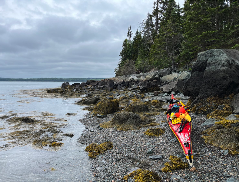 Roque Bluffs State Park