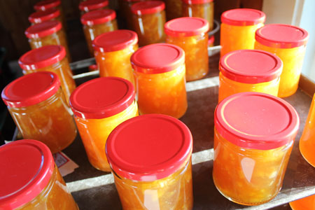 Nervous Nellie's Jams and Jellies