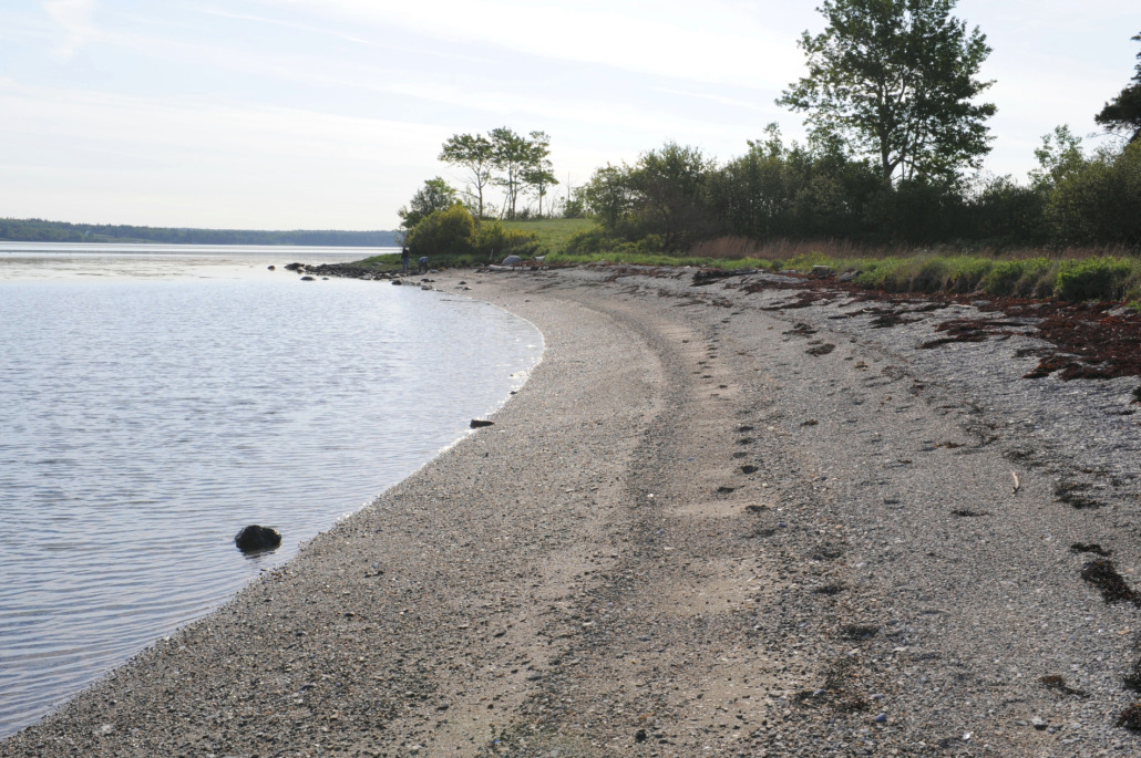 Scott's Landing Preserve
