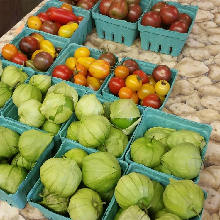 Blue Hill Farmers Market