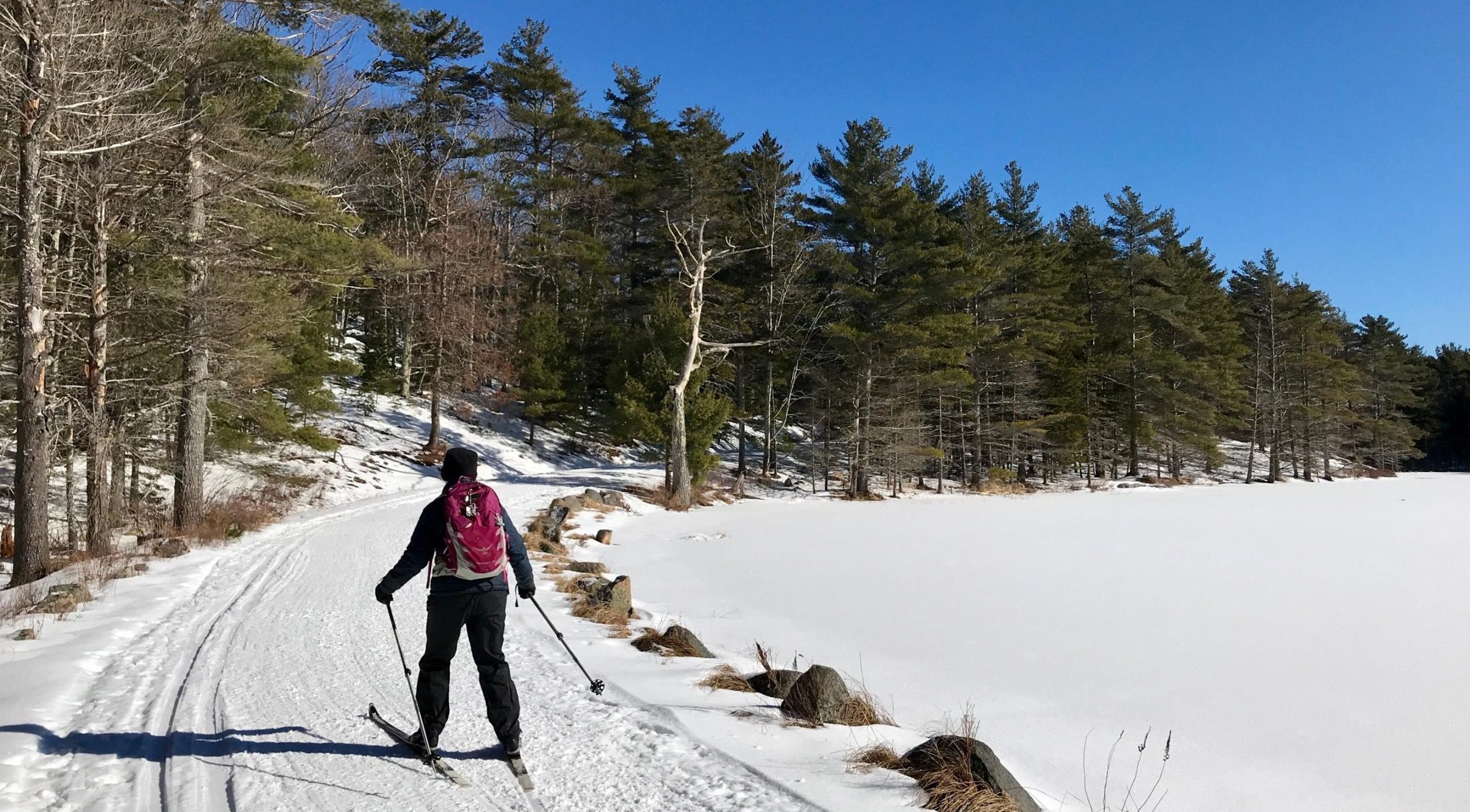 XC Ski or Hike in Eagle Lake Station