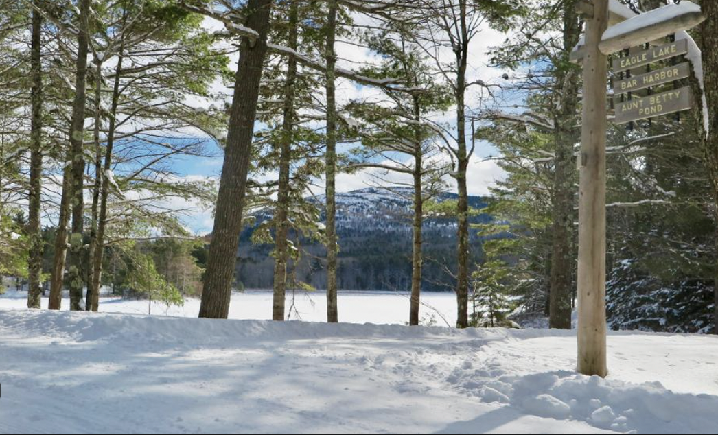 XC Ski at Brown Mountain Station