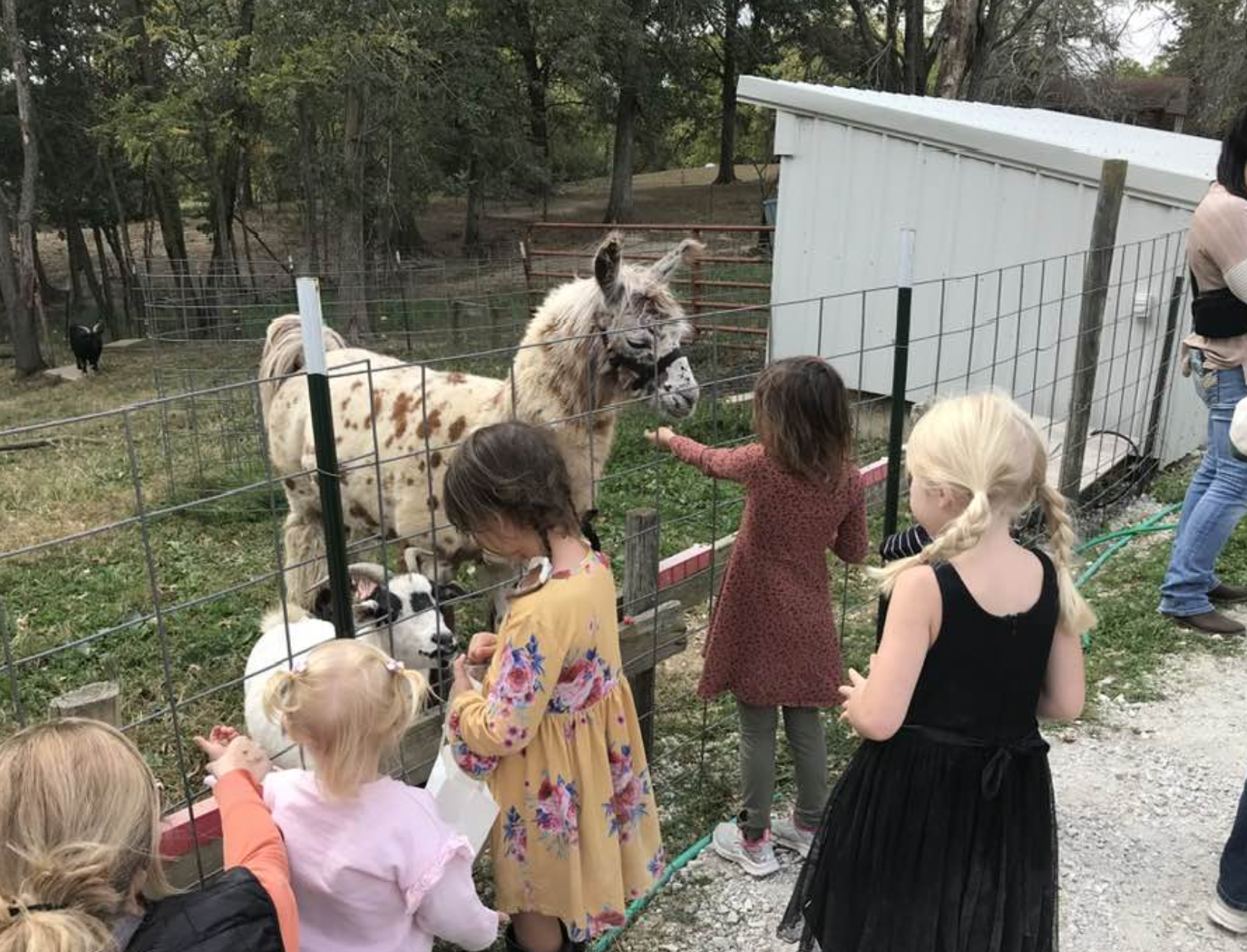 Smiley's Family Farm