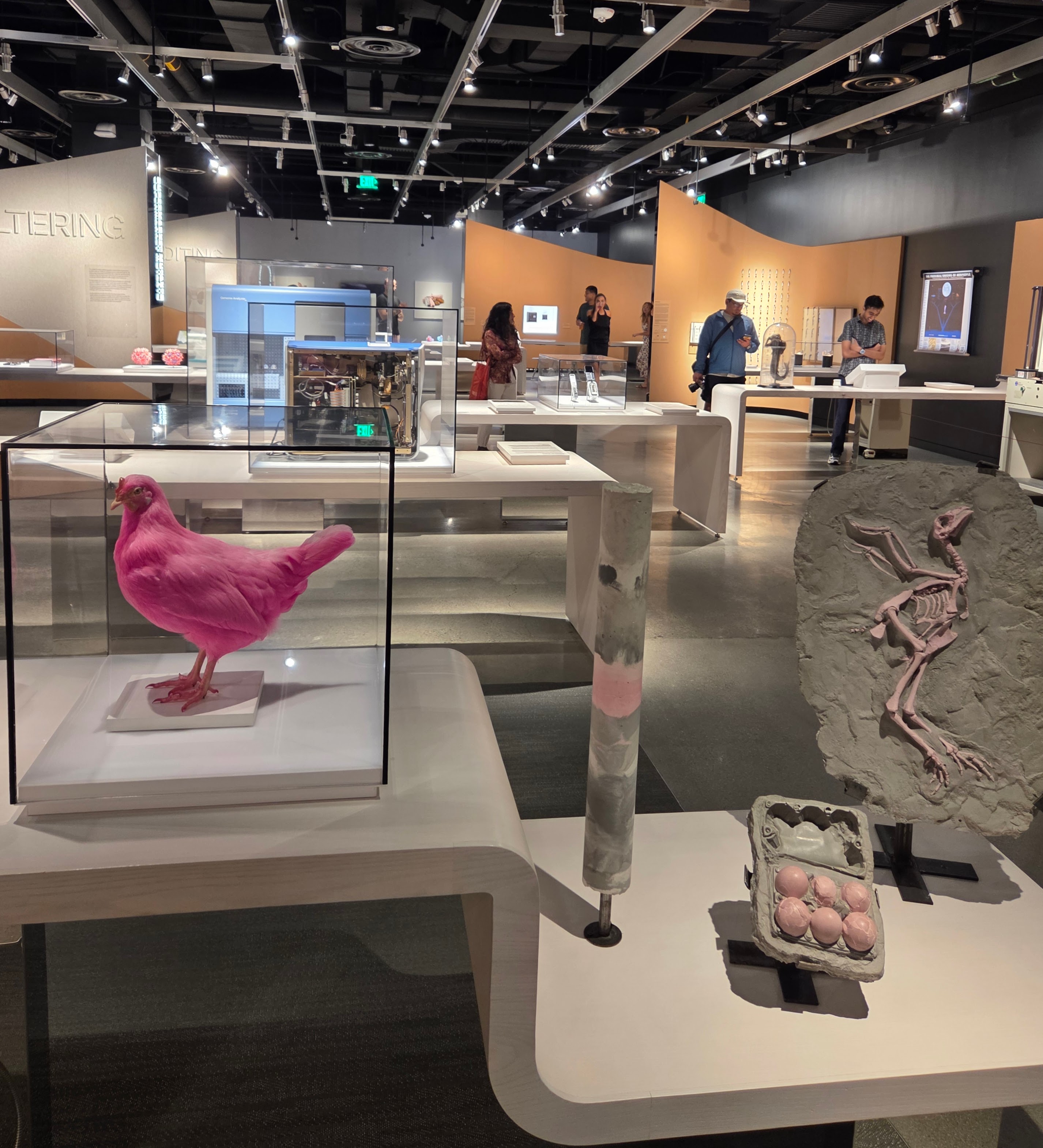 MIT Museum