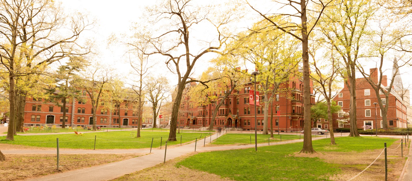 Harvard Yard