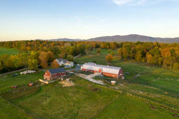 Blue Ledge Farm