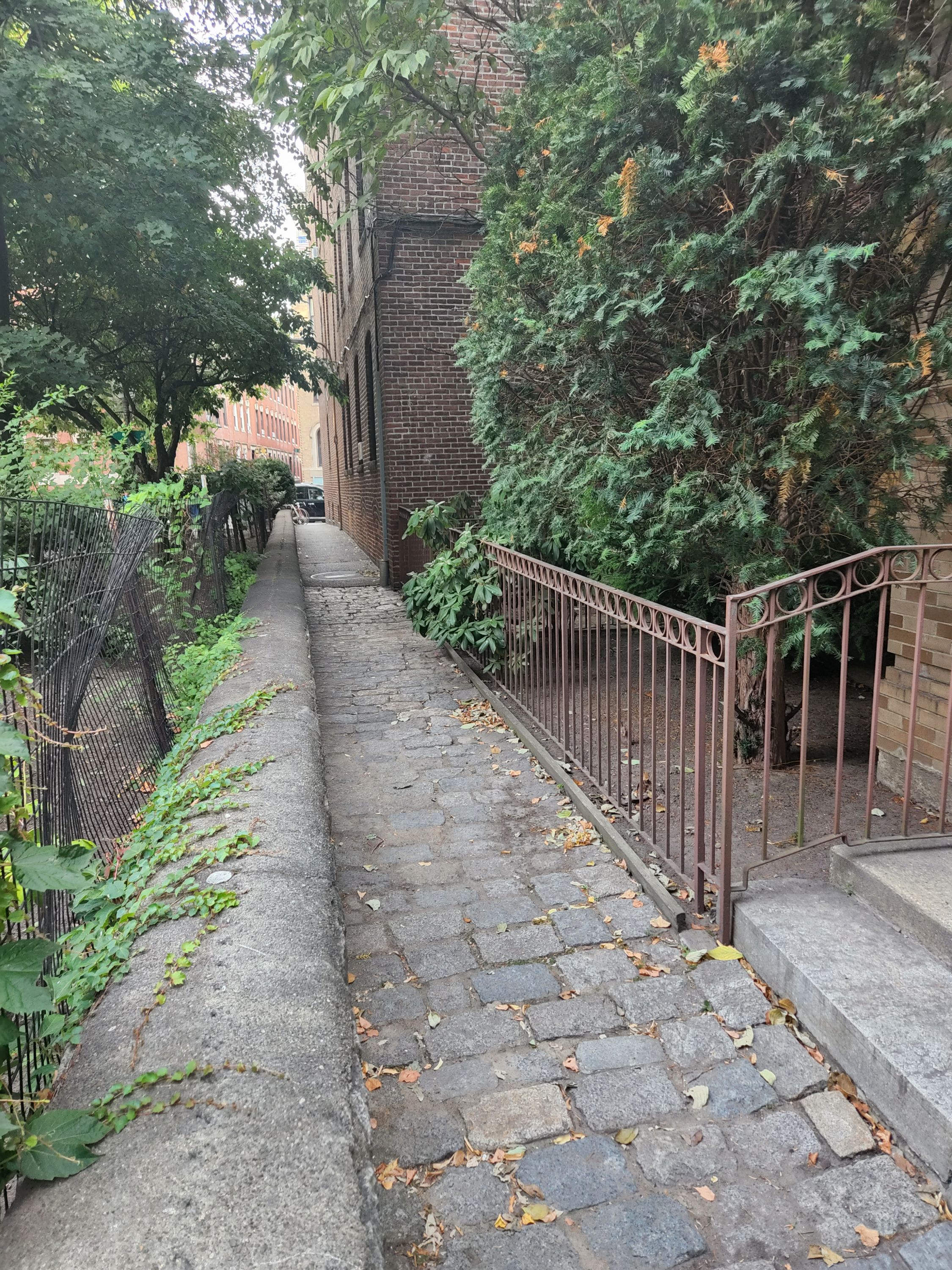 Greenough Lane