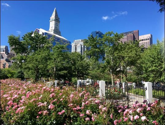The Rose Kennedy Rose Garden