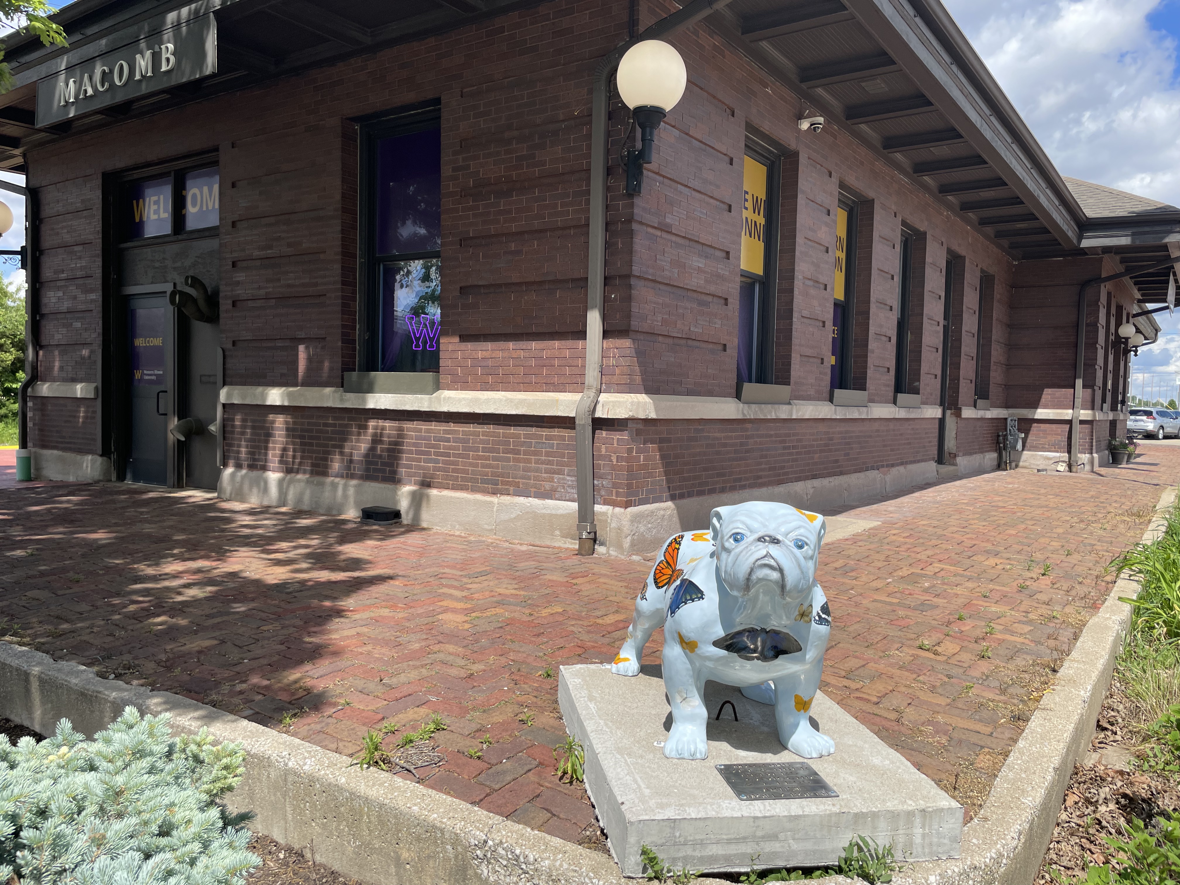 A Hopeful Transition Rocky