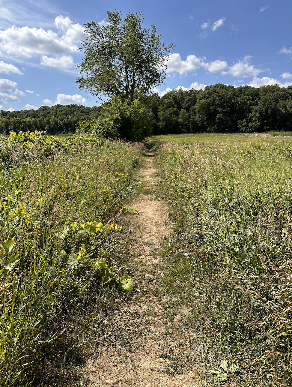Ice Age Trail – Montrose Segment