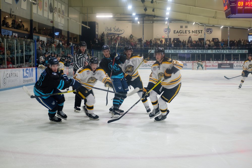 Madison Capitols USHL Hockey