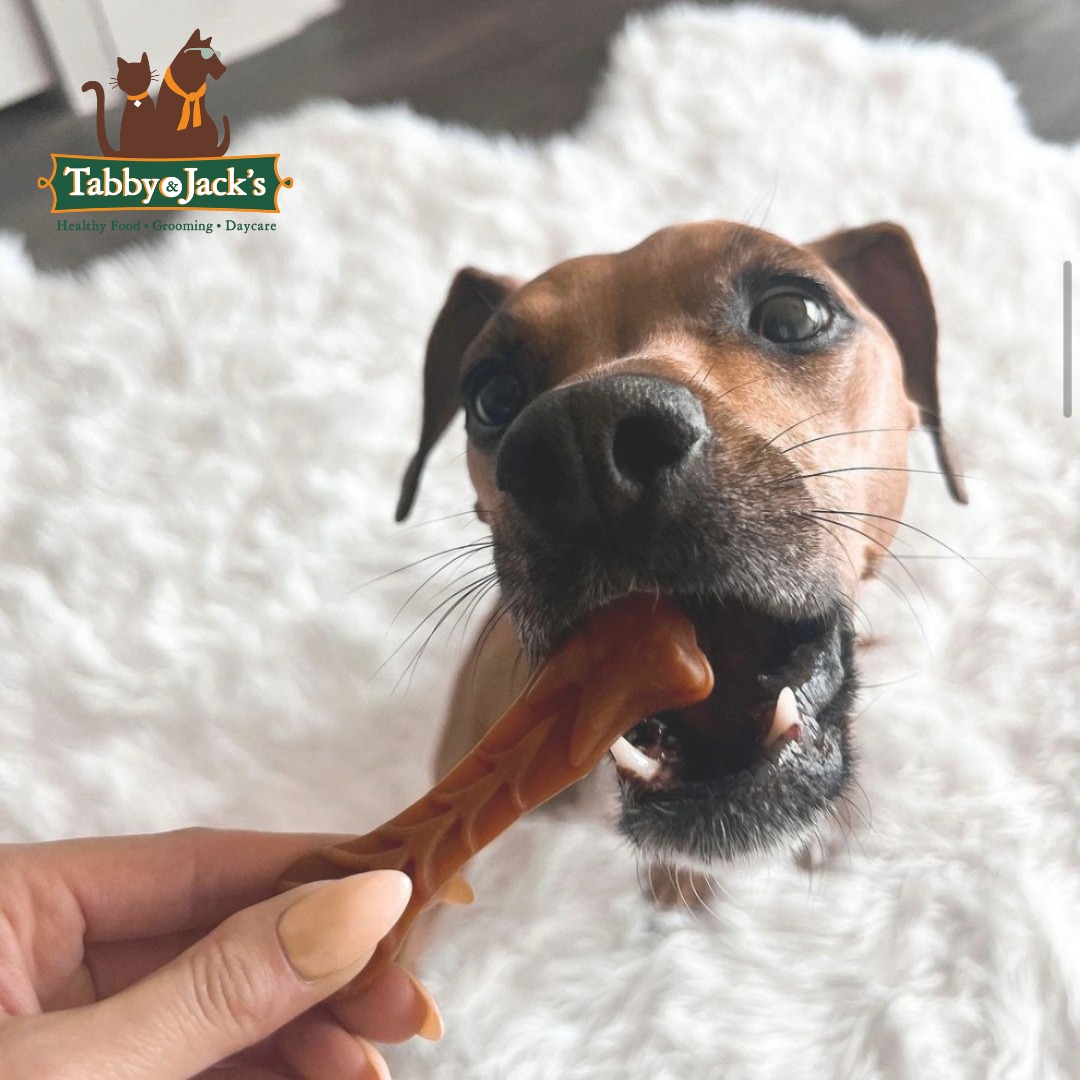 Tabby & Jacks Pet Supplies