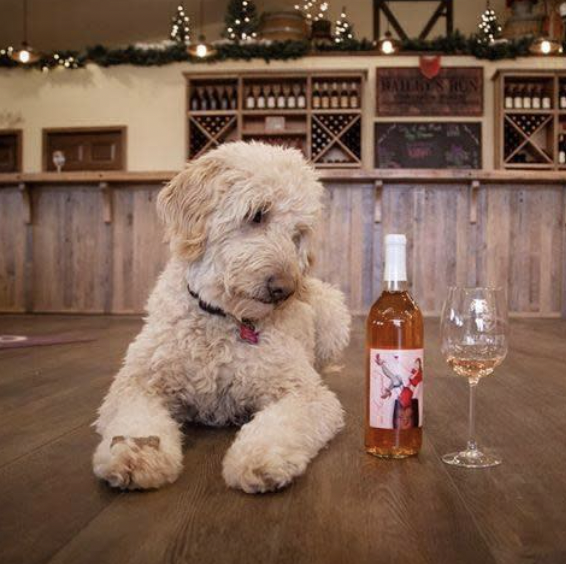 Bailey's Run Vineyard & Winery