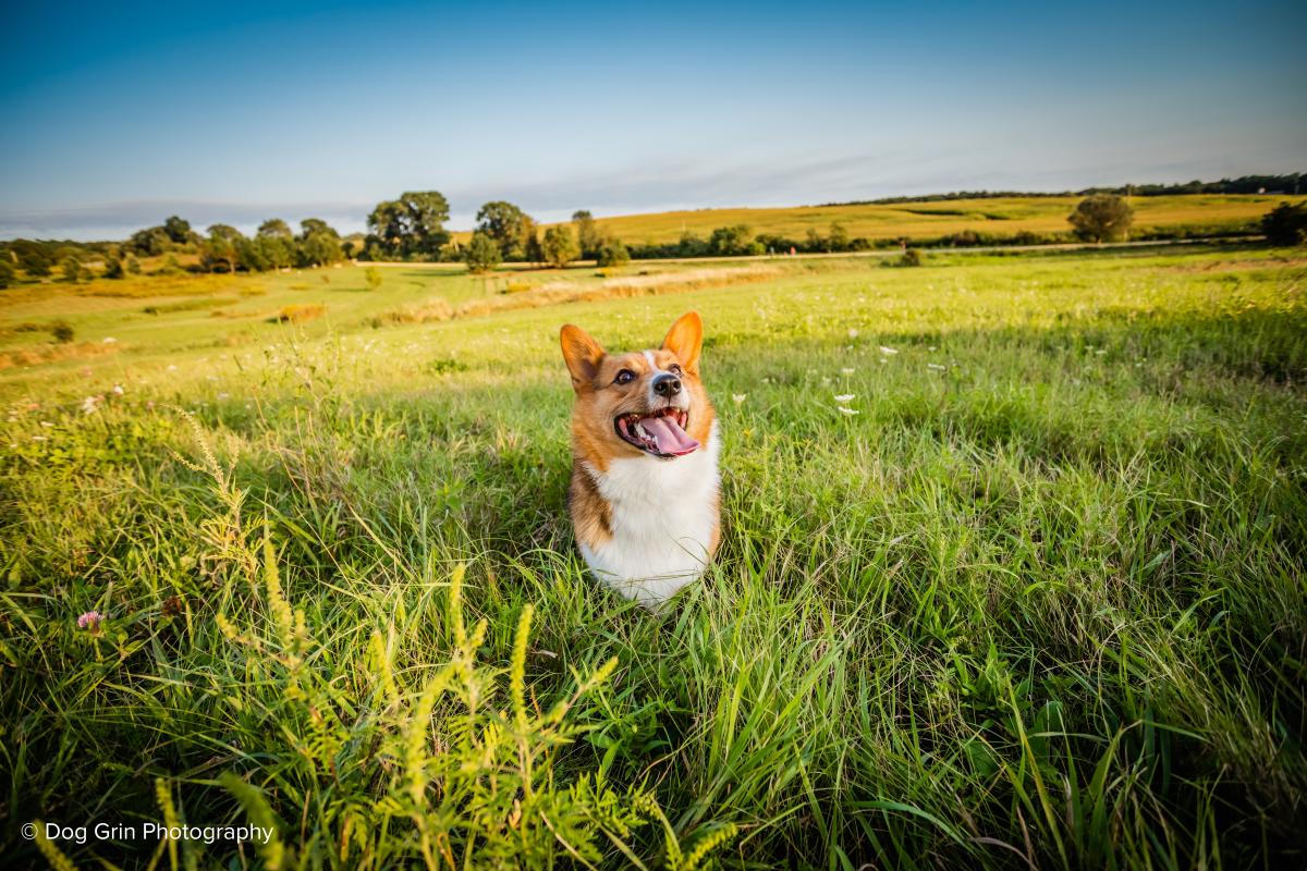 Prairie Moraine County Park