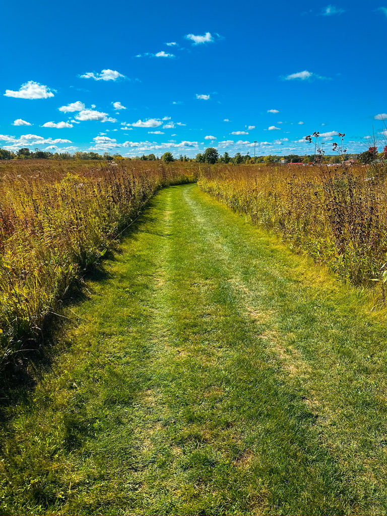 Ice Age Trail - Verona Segment