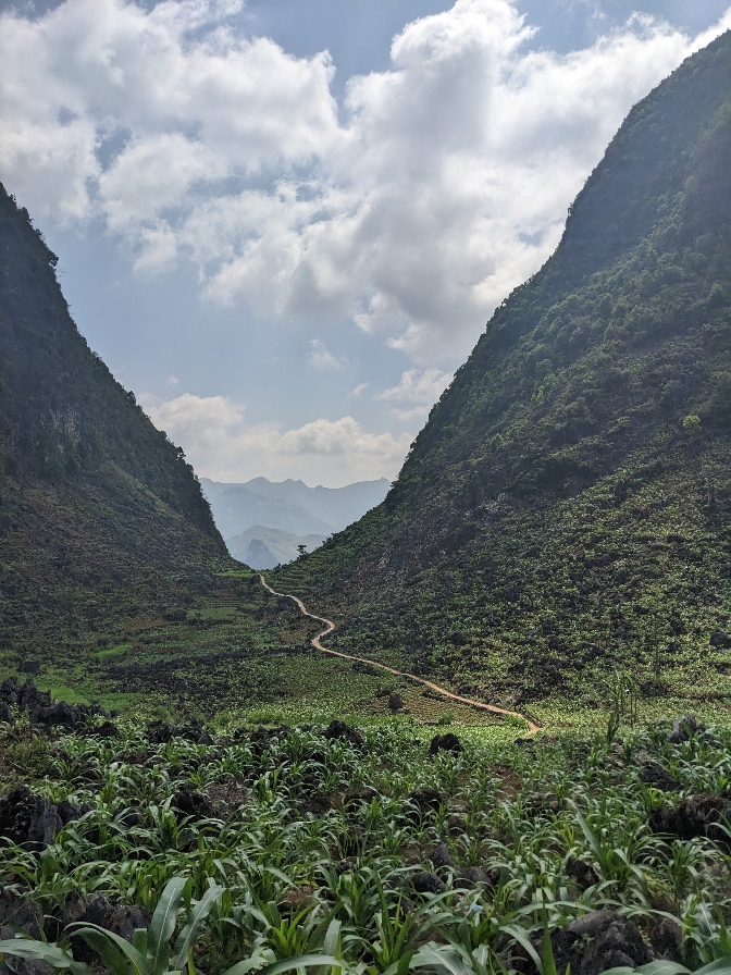Path Between Montains